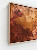 Welcome to Mars - Framed in Oak